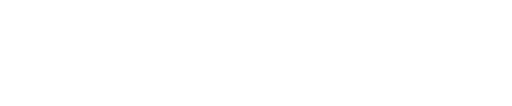 AIC ACE Logo